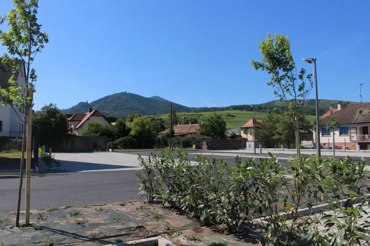 Aire de Camping-cars - Cave de Ribeauvillé