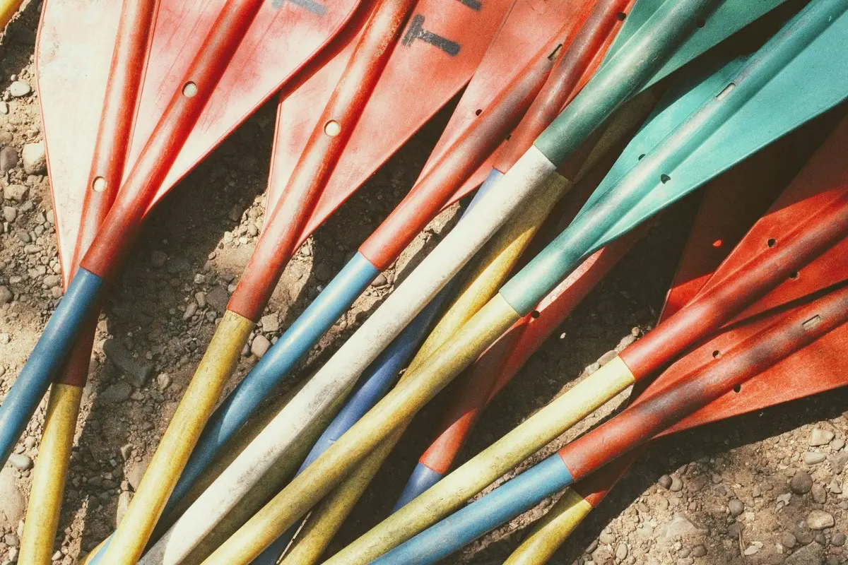 Compétition d’aviron : 100 km ramés ! 