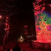 Lumières d'Hiver : Un hiver magique au Parc Animalier de Sainte-Croix 