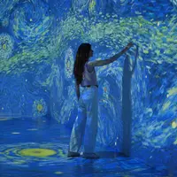 Van Gogh : L'Expérience Immersive &copy; Exhibition Hub