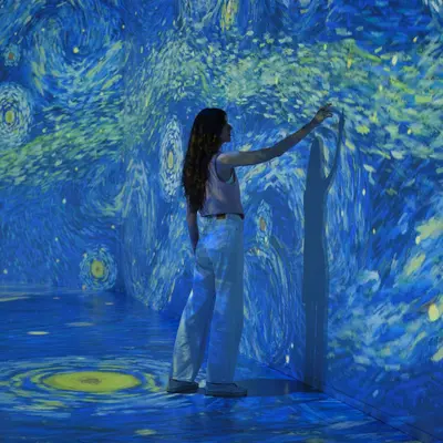 Van Gogh : L'Expérience Immersive