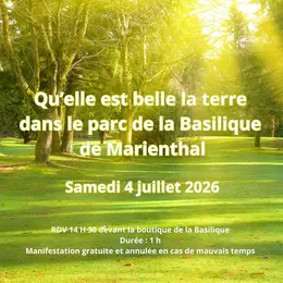 Nuit des églises dans le parc de la Basilique Notre-Dame de Marienthal