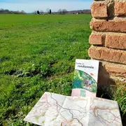 les rendez-vous sportifs du Sud-Est toulousain des prochaines semaines !