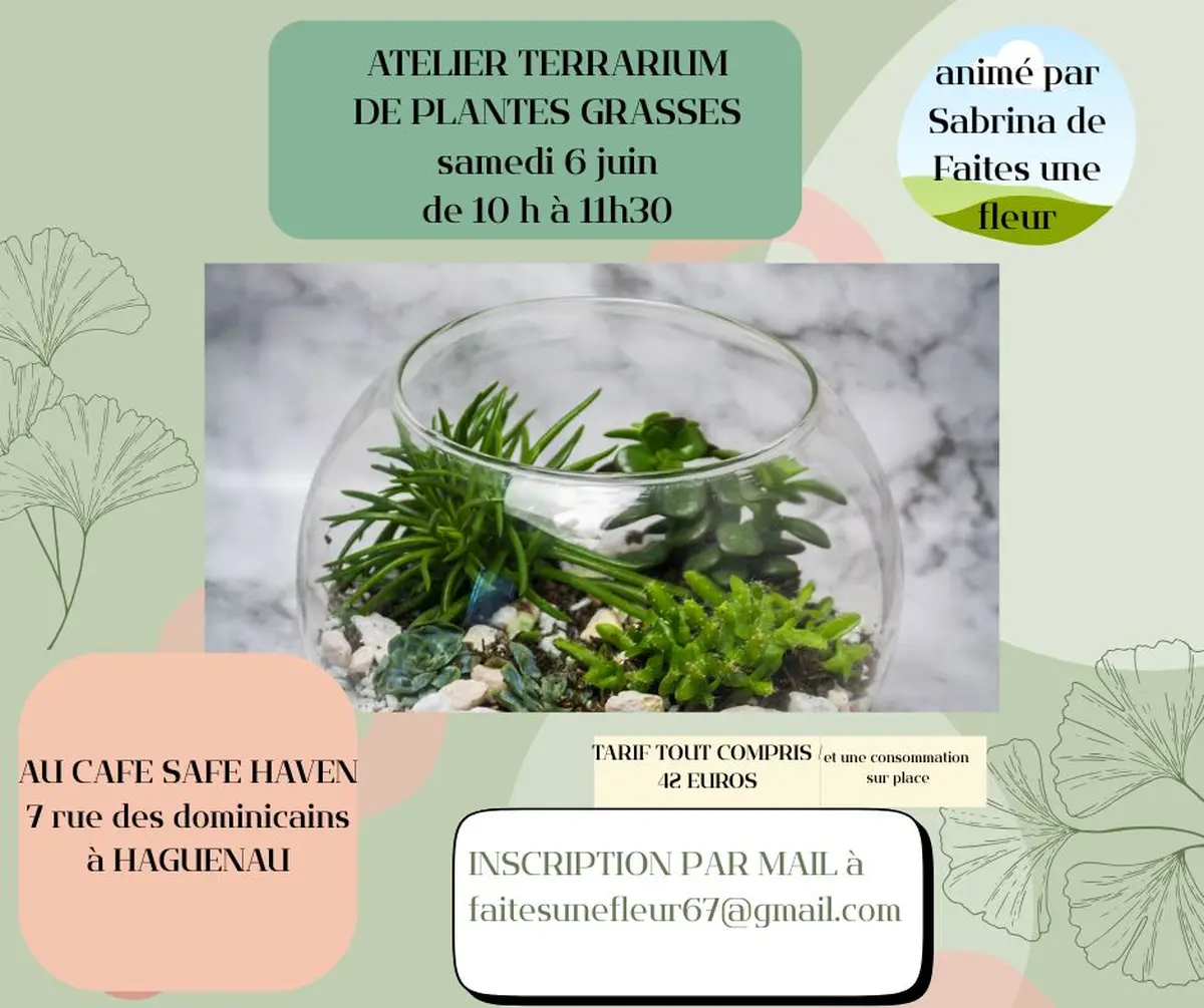 Atelier Terrarium de plantes grasses