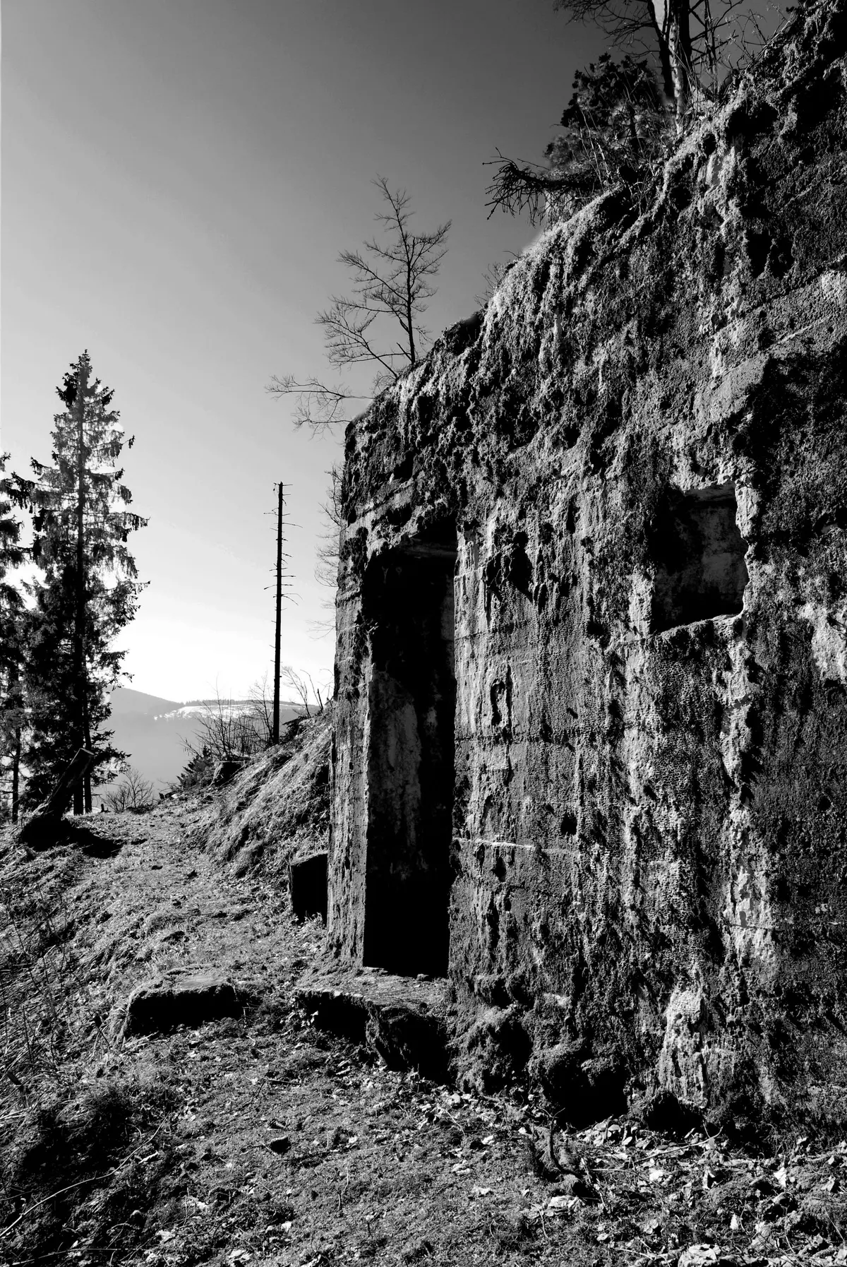 Le crépuscule de la Grande Guerre 