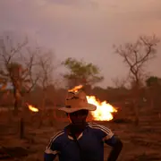 Chroniques maraîchères