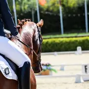 Société hippique de Mulhouse - Centre équestre du Waldeck