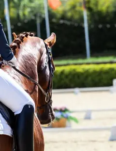 Société hippique de Mulhouse - Centre équestre du Waldeck