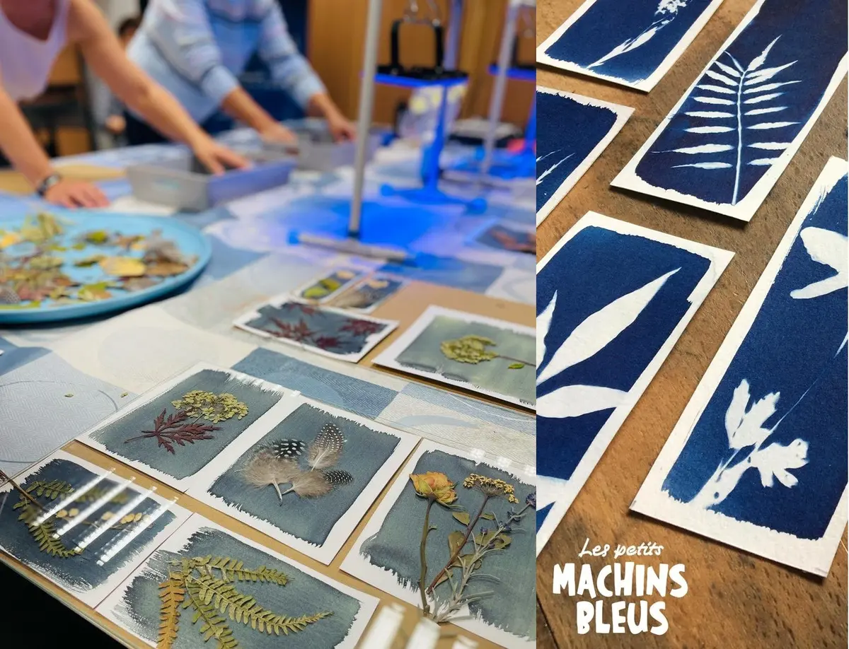 Atelier d'initiation au cyanotype avec LES PETITS MACHINS BLEUS 