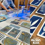Atelier d'initiation au cyanotype avec LES PETITS MACHINS BLEUS 