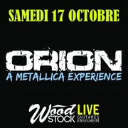 Orion, A Metallica Experience - Tribute Band chez Wood Stock Guitares
