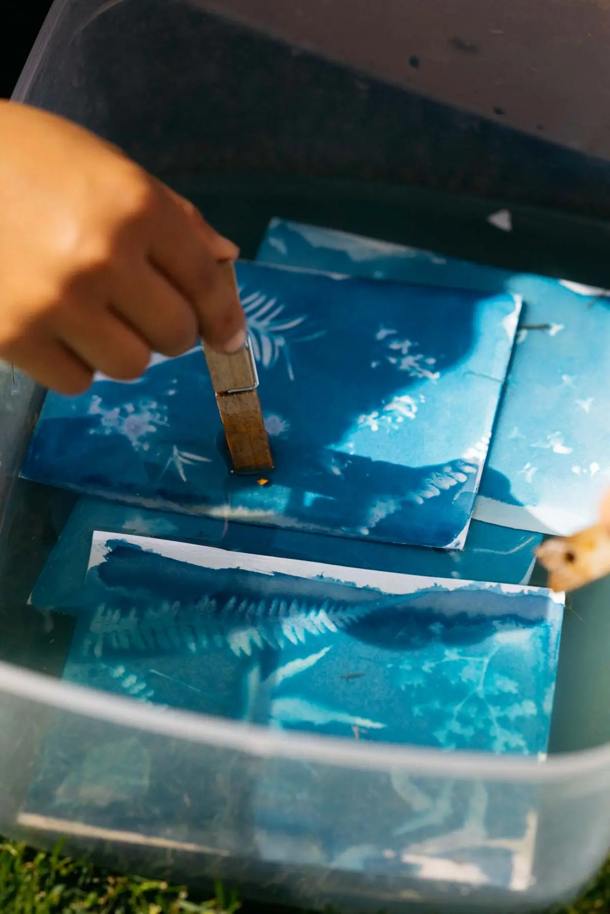 Atelier artistique : découverte du cyanotype