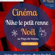 Cinéma de Noël “Niko le petit renne - mission père Noël 