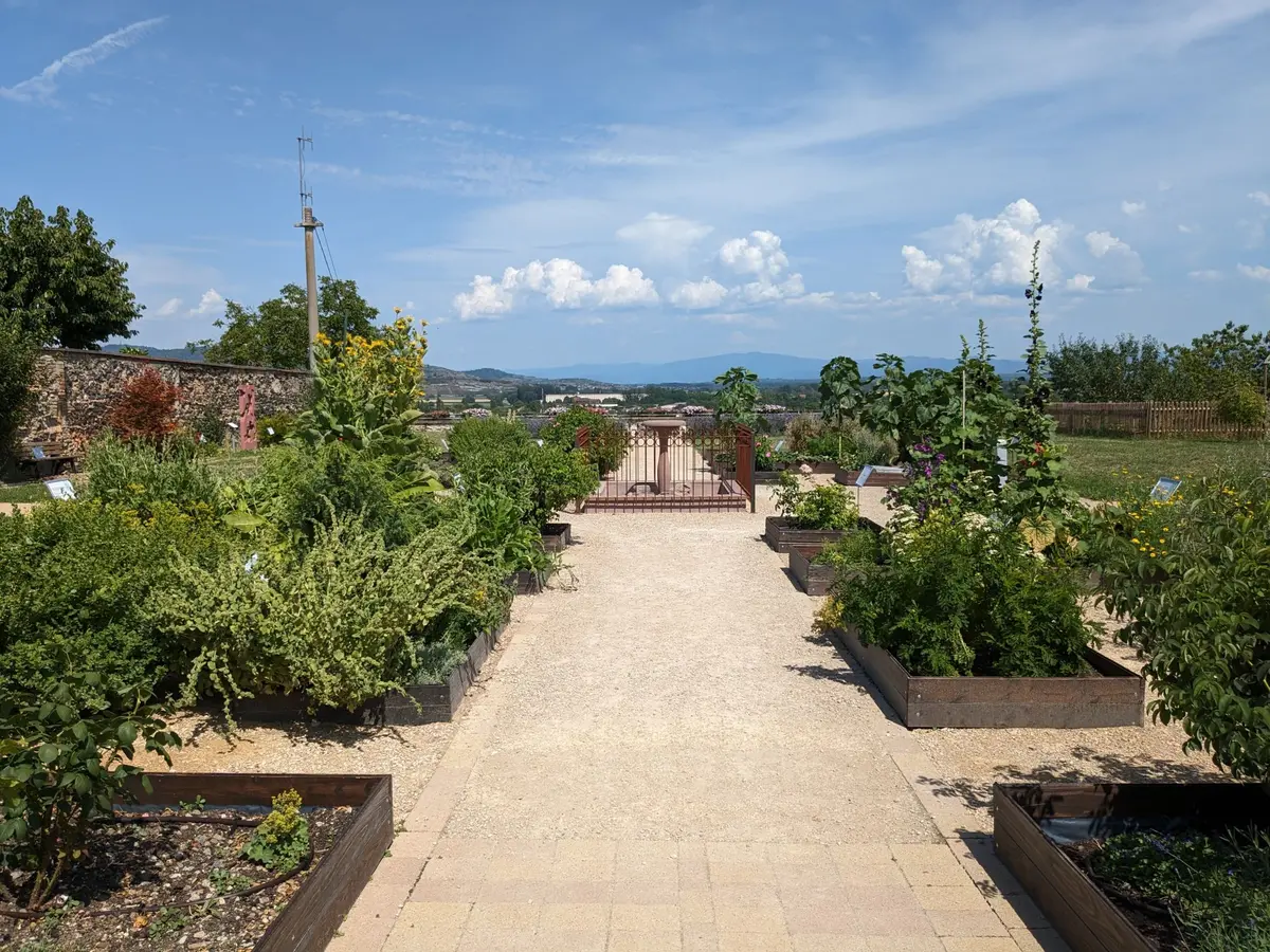 Petit marché de l'avent