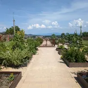 Petit marché de l'avent