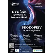 Concert Symphonique