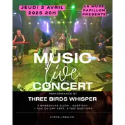 Three Birds Whisper live 