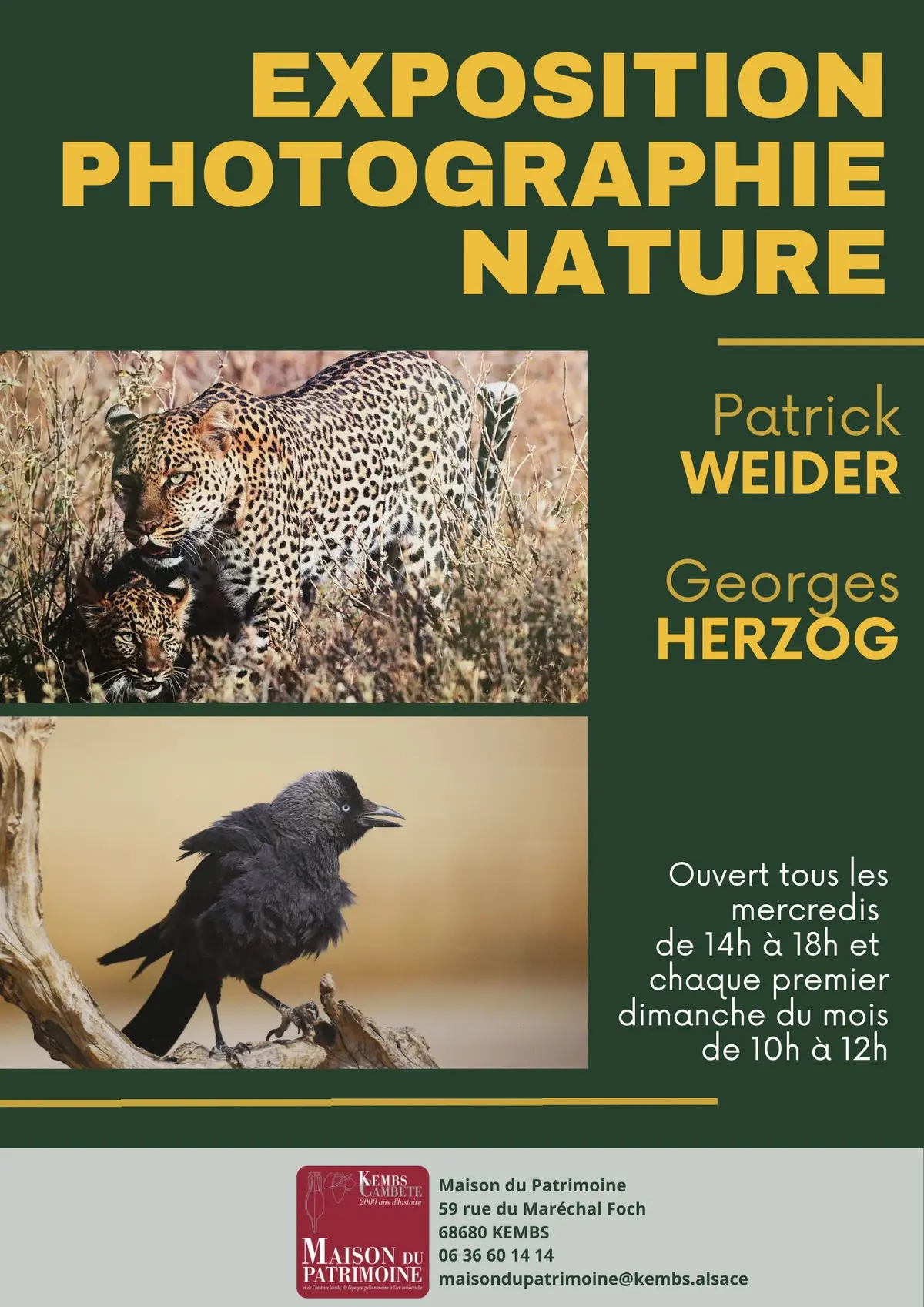 Exposition photo animalière