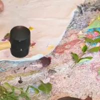 Tataki zomé &copy; MISE