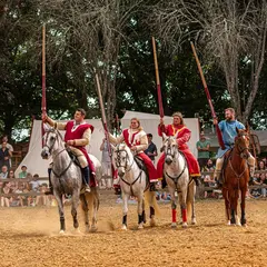 Tournois de chevalerie