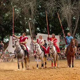 Tournois de chevalerie