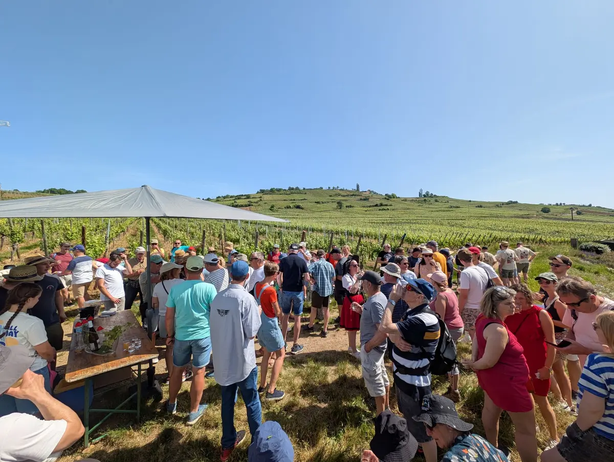Découverte de la Vigne et du Vin ! 2026