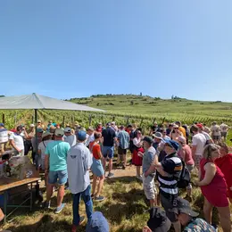 Découverte de la Vigne et du Vin ! 2026