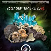 Salon international des minéraux - gemmes - fossiles - joaillerie