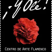Y Olé Centro de Arte Flamenco