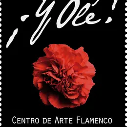 Y Olé Centro de Arte Flamenco