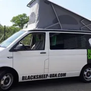 Blacksheep-Van Alsace