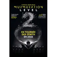 Murmuration Level 2 &copy; DR