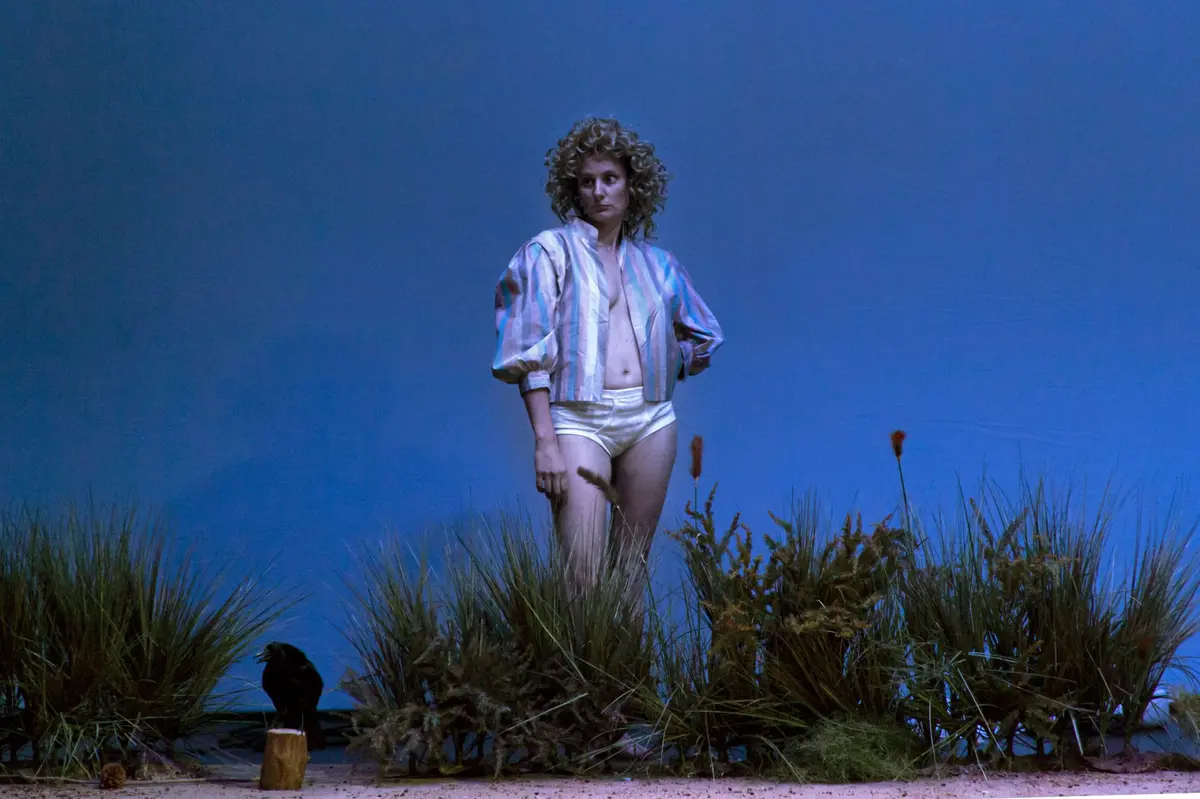 En une nuit, notes pour un spectacle