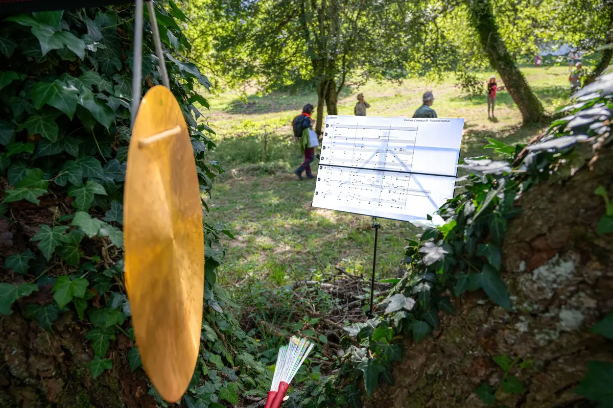 Concert d’oiseaux