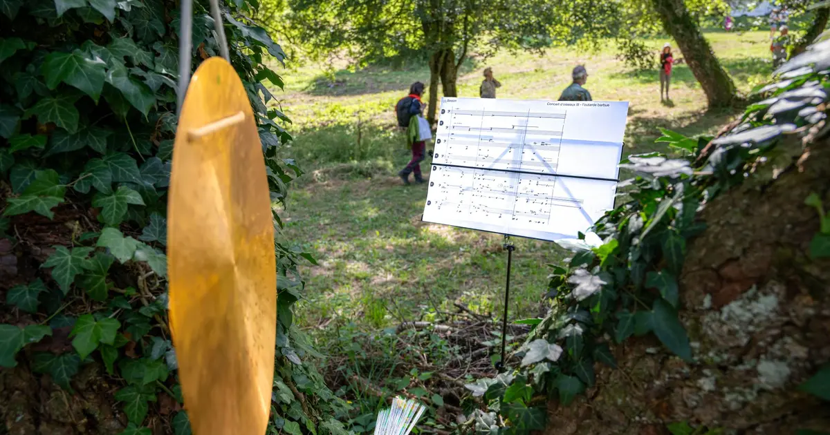 Concert d’oiseaux