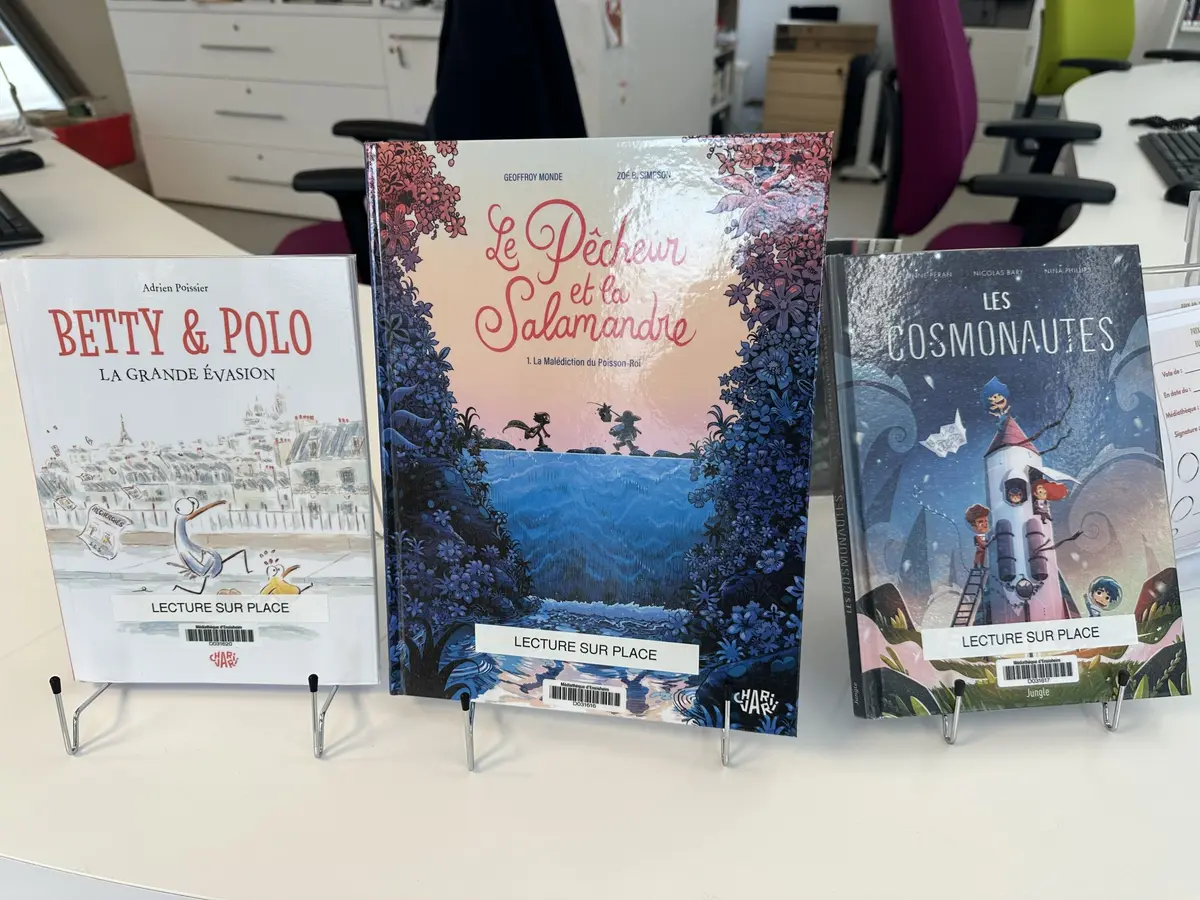 Projet participatif : prix bd jeunesse inter-médiathèques