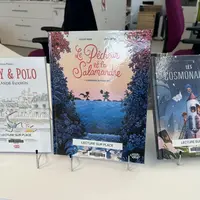 Projet participatif : prix bd jeunesse inter-médiathèques &copy; AF