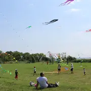 Fête du vent