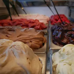 Portes Ouvertes au Vosgien Givré et marché artisanal