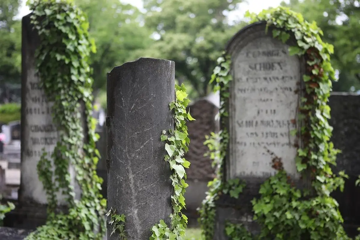 Le cimetière, entre art et histoire