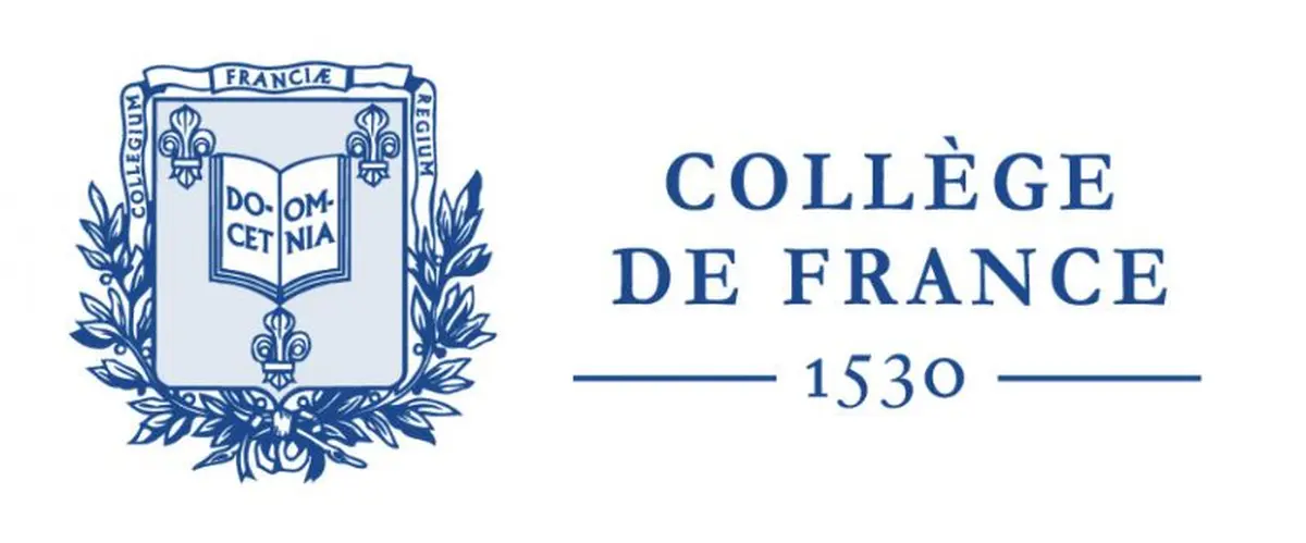 Violences faites aux filles et aux femmes