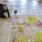 Velature / De la couleur dans l'air 
