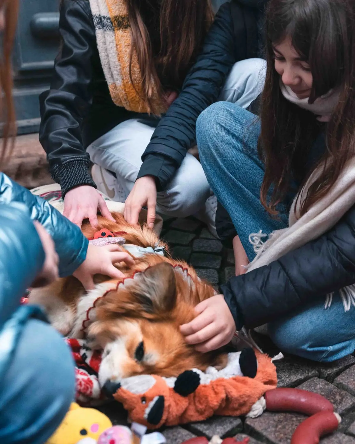  Identité(s) : Une jeunesse engagée - Exposition photographique