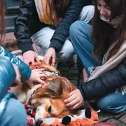  Identité(s) : Une jeunesse engagée - Exposition photographique