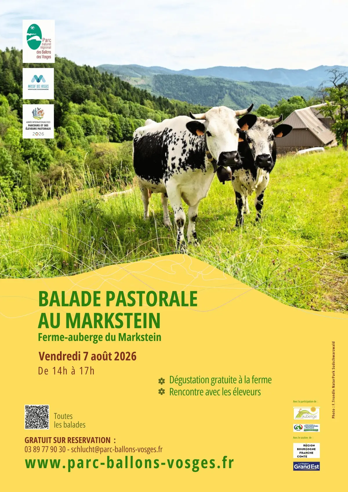 Balade pastorale : la balade du Markstein