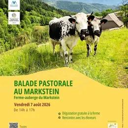 Balade pastorale : la balade du Markstein
