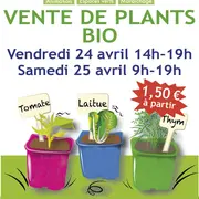 Vente de plants bio