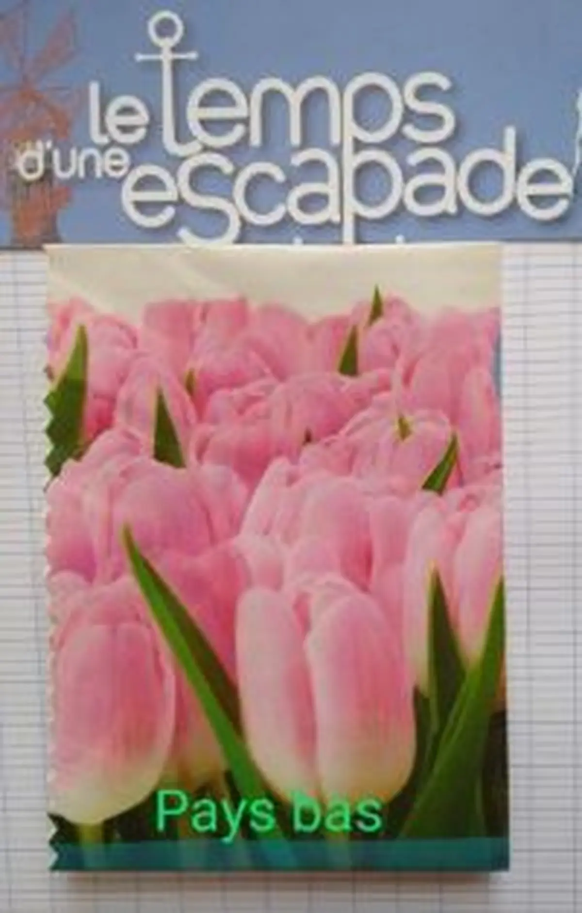 balade à vélo aux Pays Bas des tulipes à perte de vue 