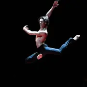 Gala du Ballet