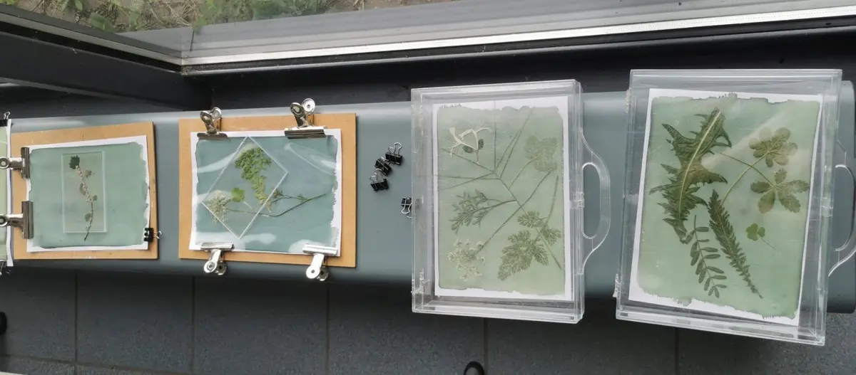 Atelier de création : Le jardin tout en bleu (tout public)